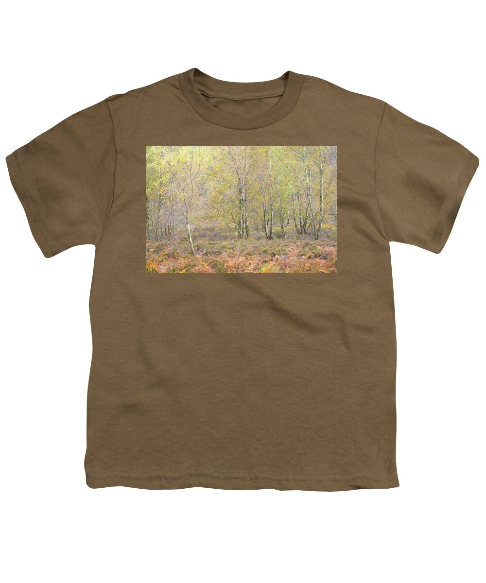 Autumn Youth T-Shirt featuring the photograph Autumn with bilberries, bracken and silver birch trees #3 by Anita Nicholson