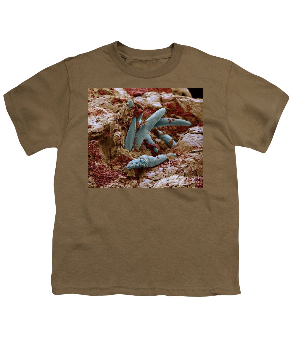 Arthropod Youth T-Shirt featuring the photograph Demodex folliculorum #3 by Eye of Science