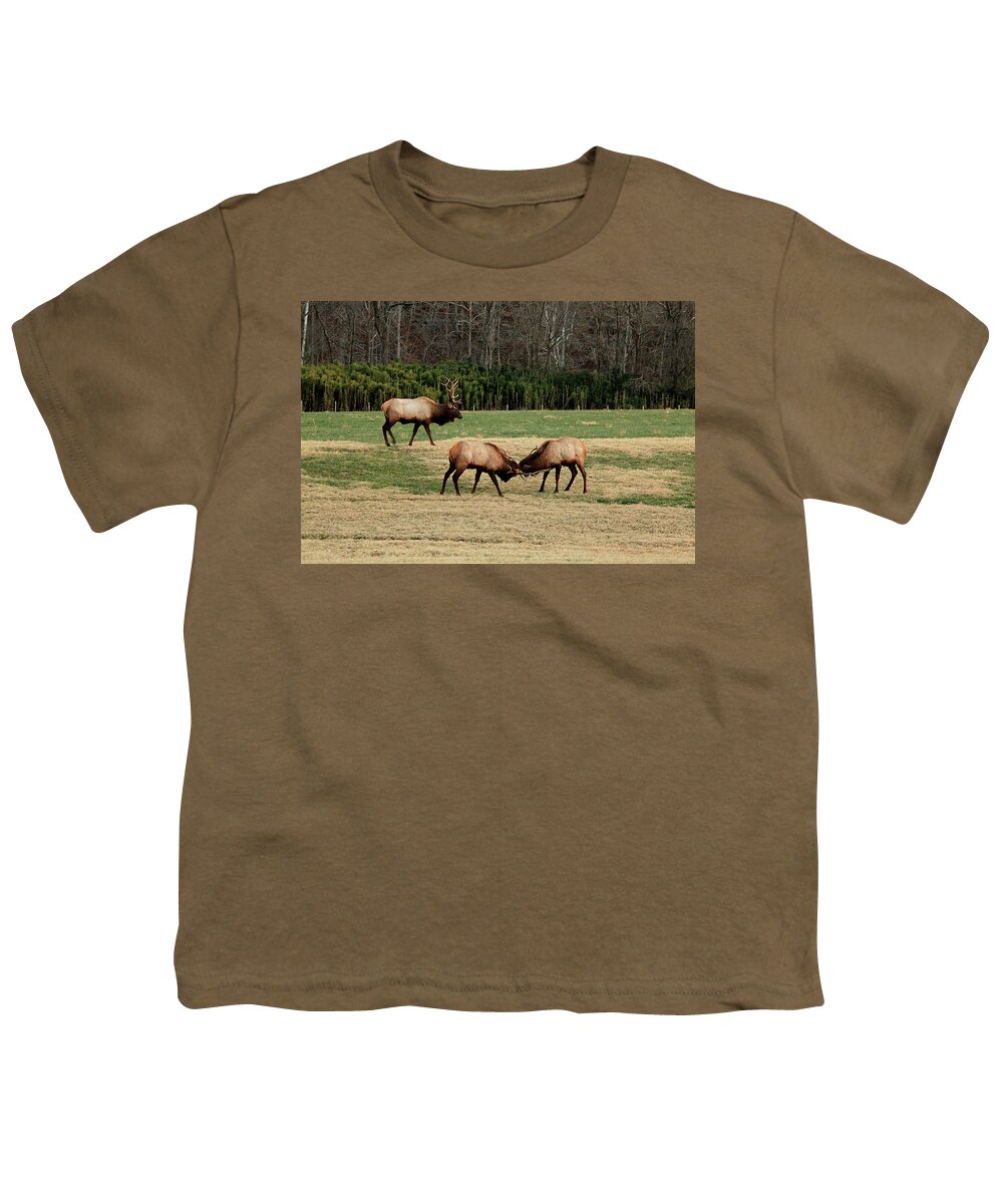 Elk Youth T-Shirt featuring the photograph 3 Elk by William Rainey