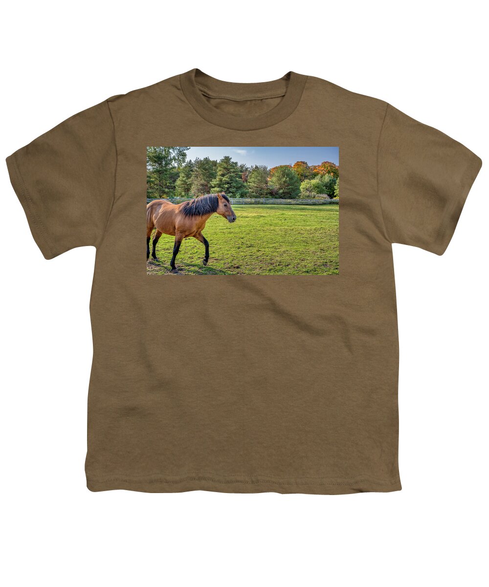 Airey Youth T-Shirt featuring the photograph Autumn Horses of Uxbridge #2 by Dee Potter