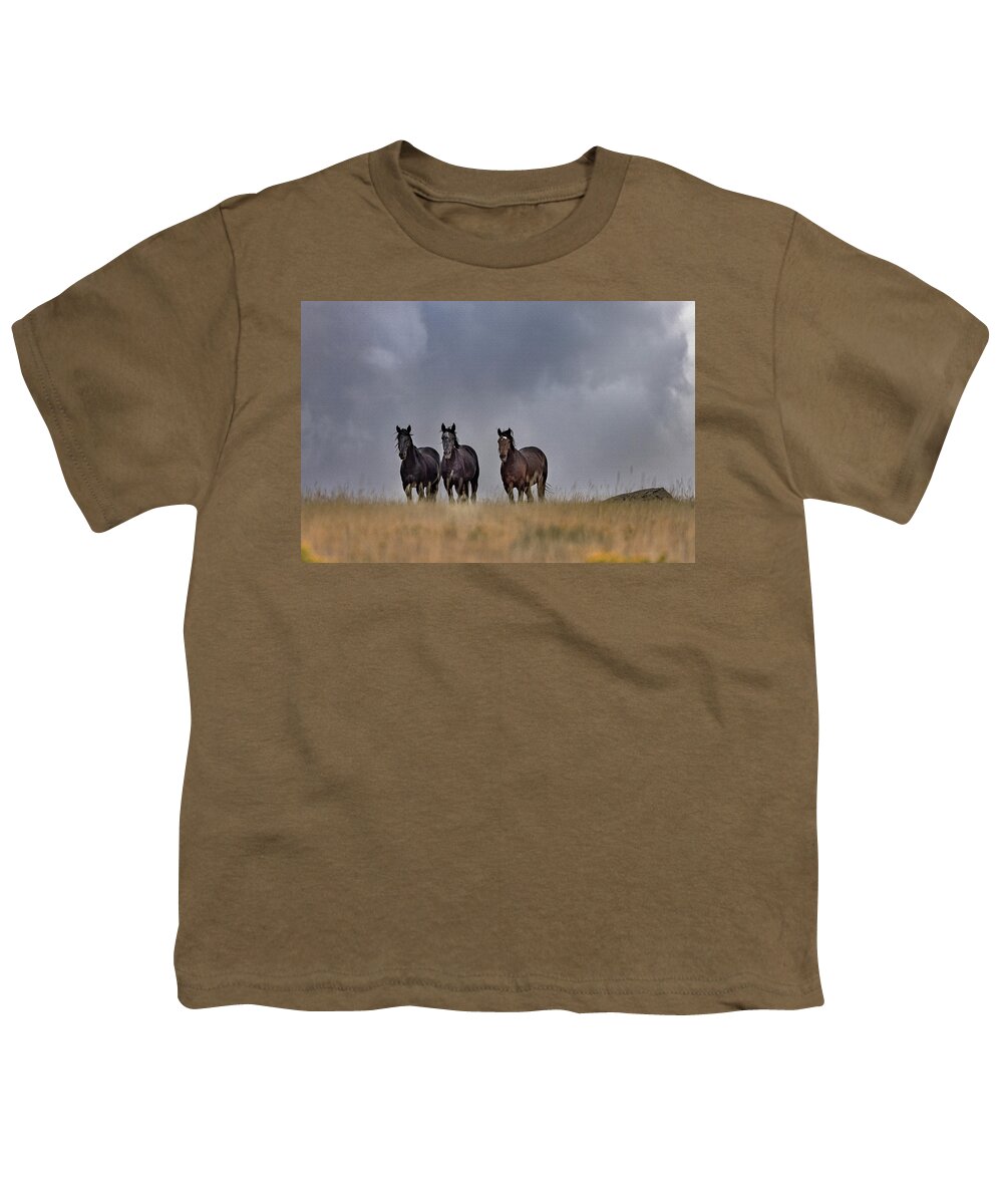 Horse Youth T-Shirt featuring the photograph Wild Horses #4 by Laura Terriere