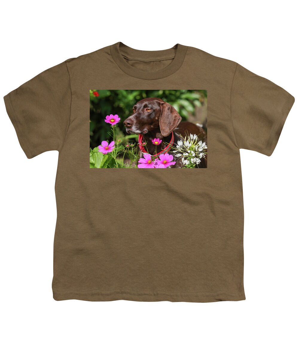 German Shorthaired Pointer Youth T-Shirt featuring the photograph German Shorthaired Pointer #5 by Brook Burling