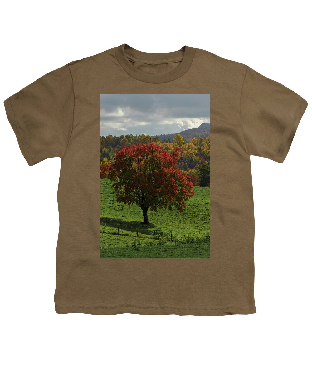 Sunlight Youth T-Shirt featuring the photograph A Patch of Sunlight by Steve Templeton