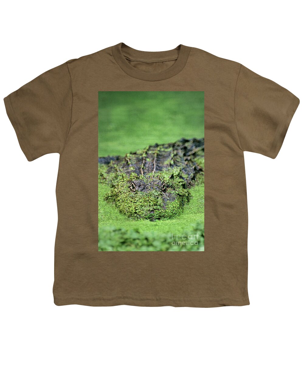 Dave Welling Youth T-Shirt featuring the photograph American Alligator In Duckweed Louisiana by Dave Welling