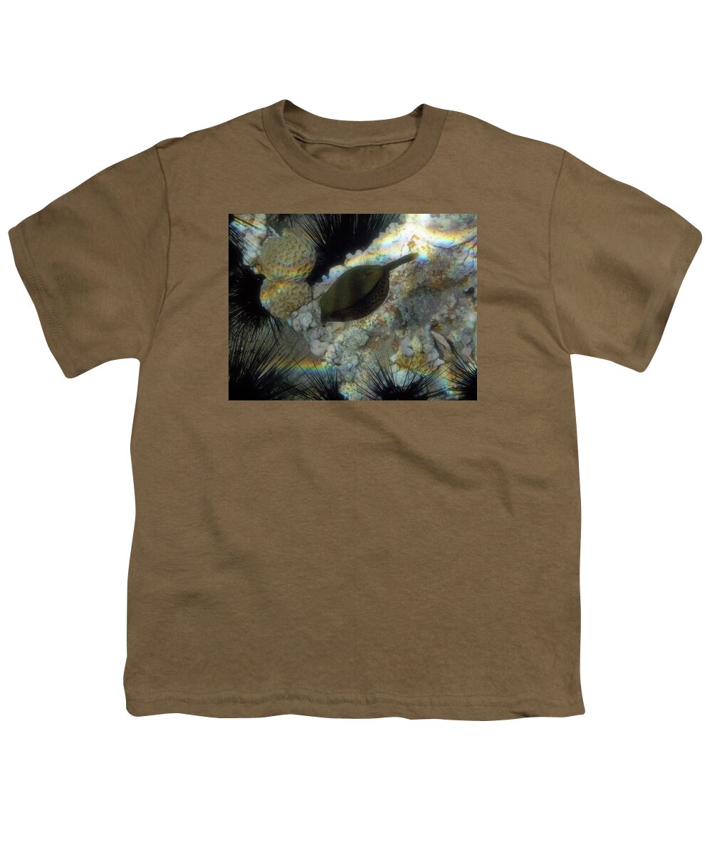 Underwater Youth T-Shirt featuring the photograph Arabian Boxfish by Johanna Hurmerinta