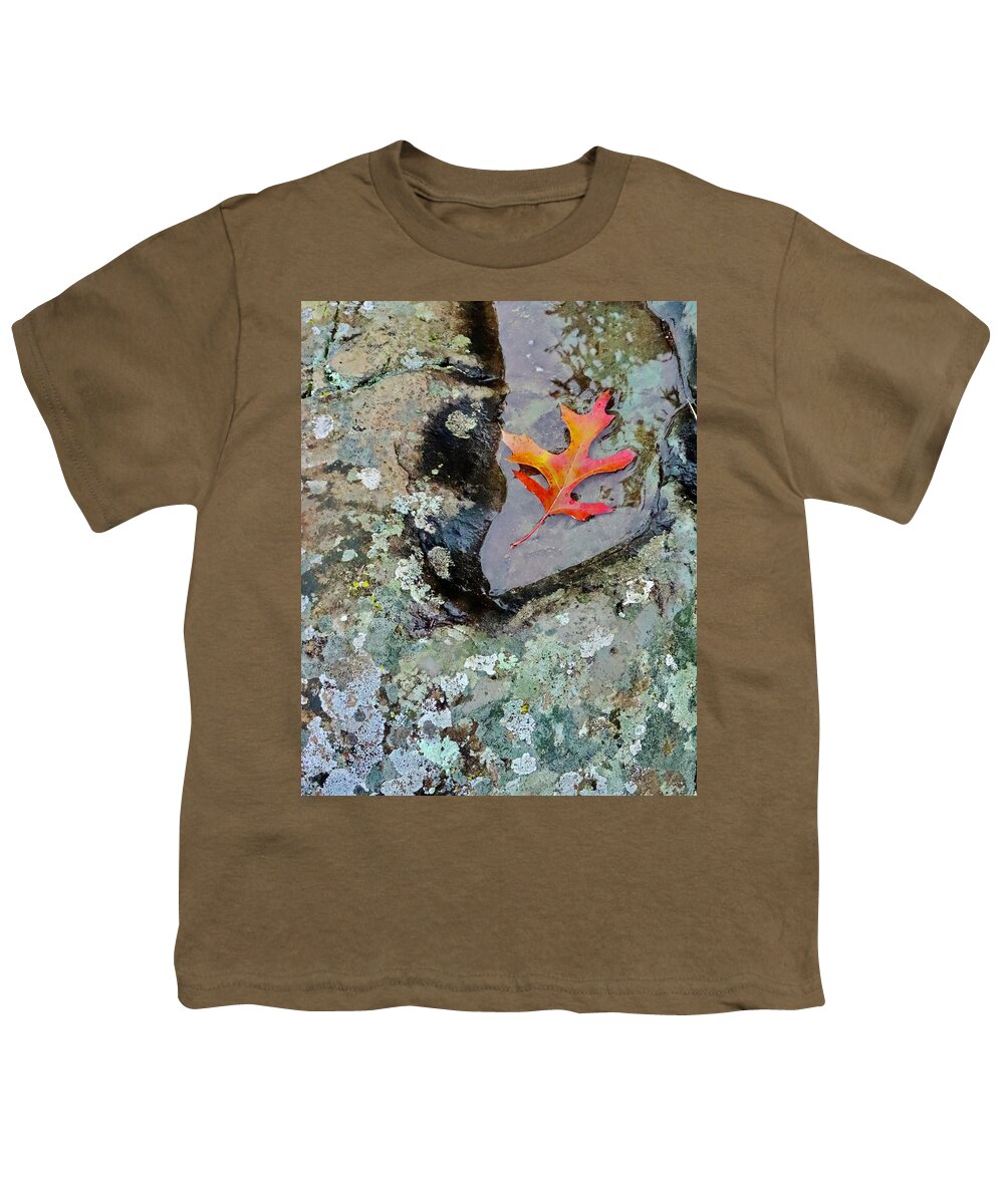 Autumn Youth T-Shirt featuring the photograph Autumn Colors by Sarah Lilja