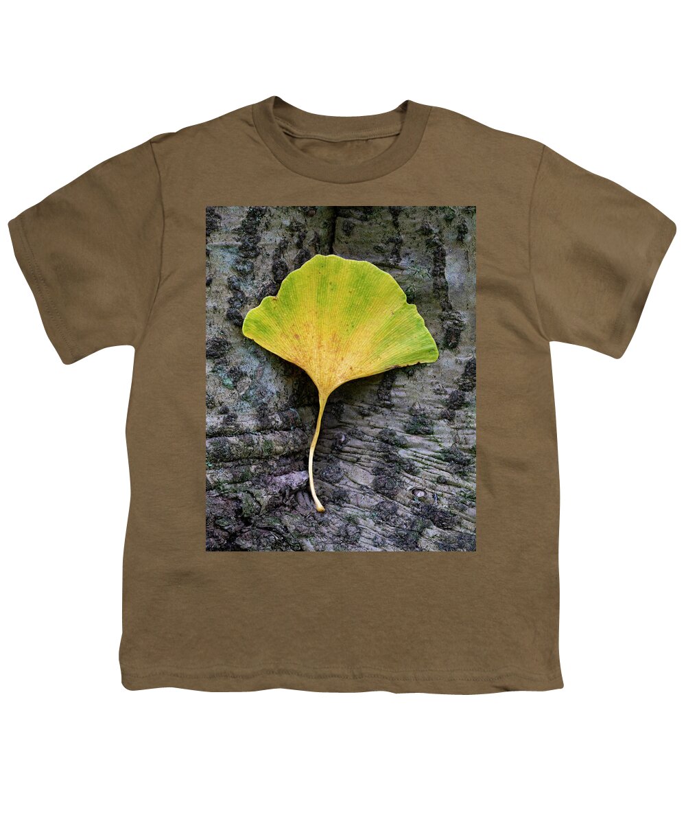Autumn Youth T-Shirt featuring the photograph Autumn Gold Ginko Leaf by Gary Slawsky