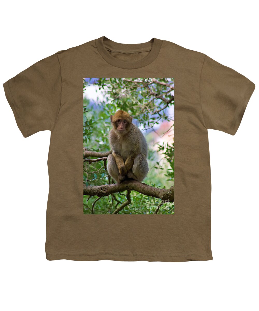 Monkey Youth T-Shirt featuring the photograph Barbary macaque by Yvonne M Smith