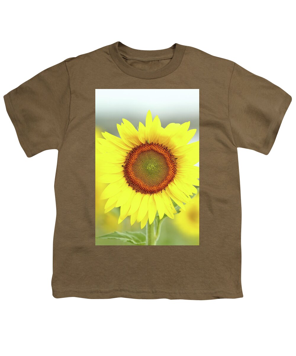 Sunflower Youth T-Shirt featuring the photograph Basking In The Sun by Lens Art Photography By Larry Trager