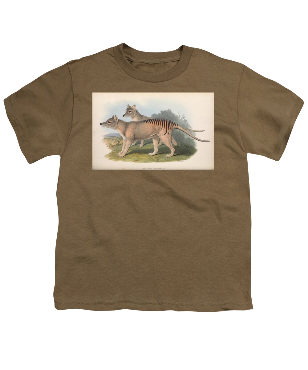 John Youth T-Shirt featuring the mixed media Beautifil Antique Australian Tasmanian Tiger by World Art Collective