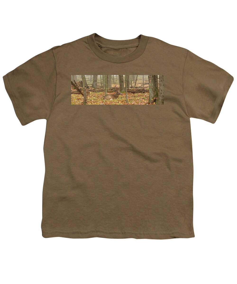 Autumn Youth T-Shirt featuring the photograph Bedded Buck PANO by Brook Burling