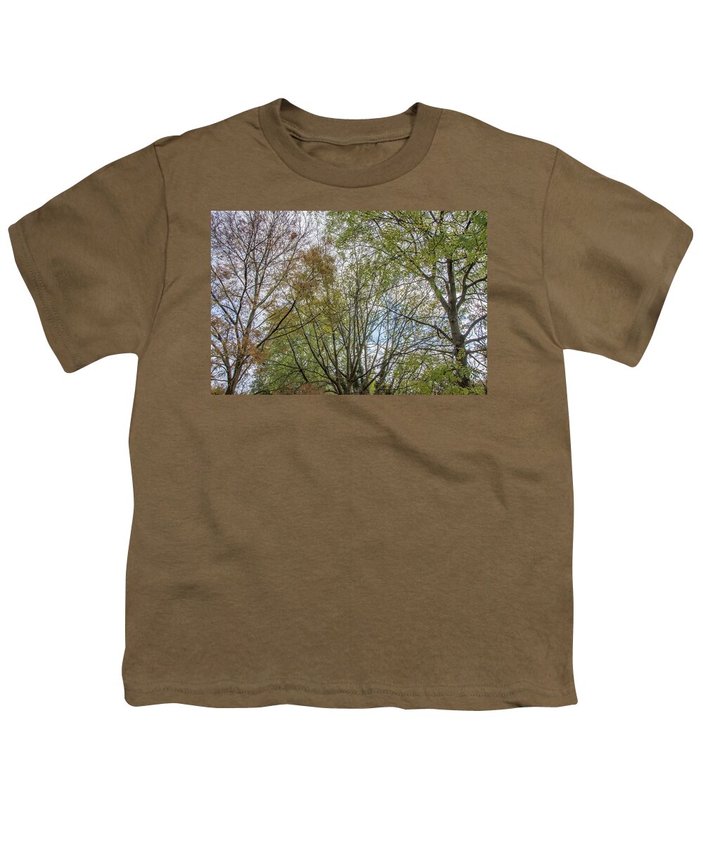 Bethune Park Youth T-Shirt featuring the photograph Bethune Park Trees Fall by Edmund Peston