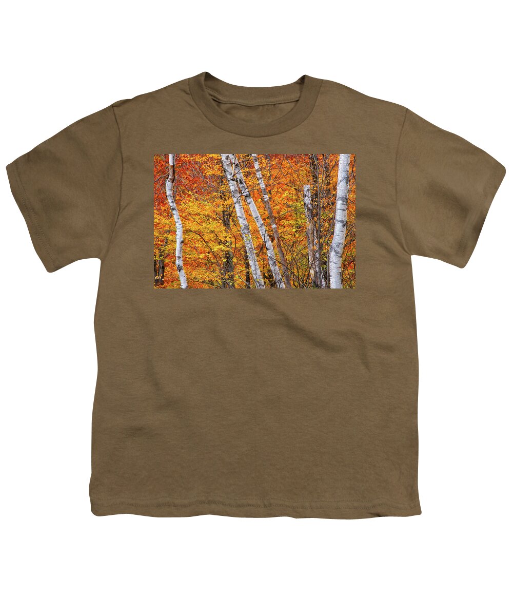 New Hampshire Youth T-Shirt featuring the photograph Birch Fire by Jeff Sinon