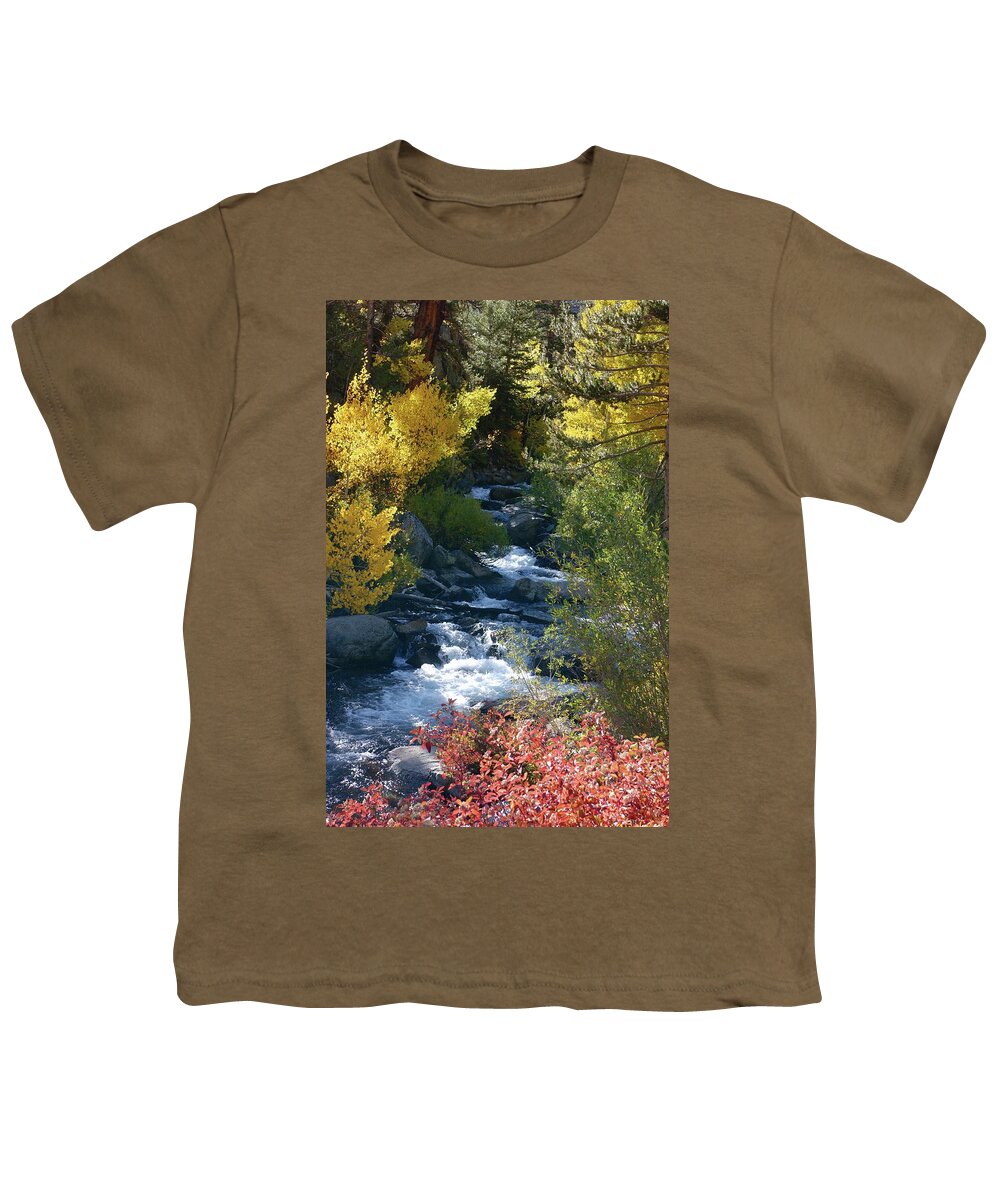Bishop Creek Youth T-Shirt featuring the photograph Fall Color and Sun Rays on Bishop Creek by Bonnie Colgan