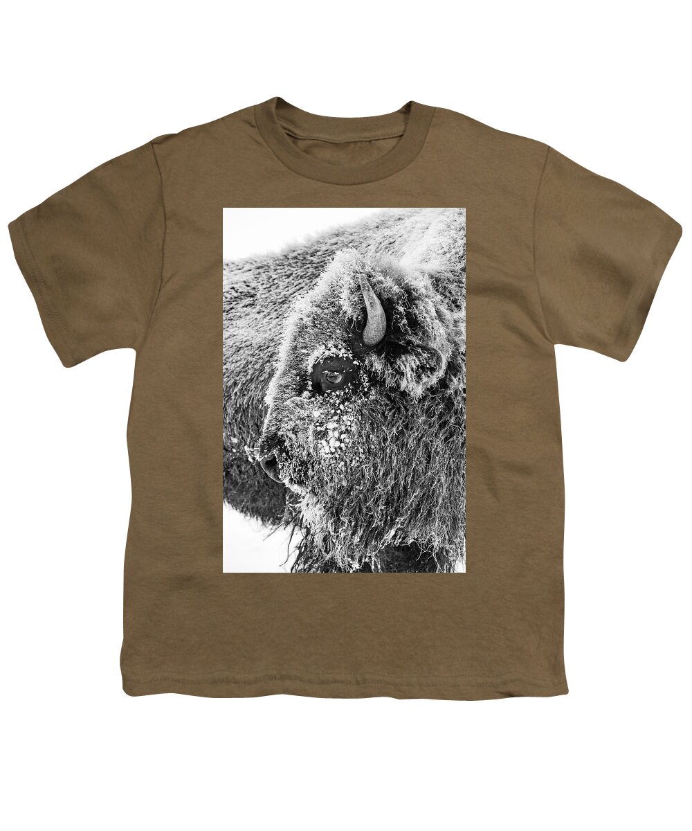 Bison Youth T-Shirt featuring the photograph Bison portrait by D Robert Franz