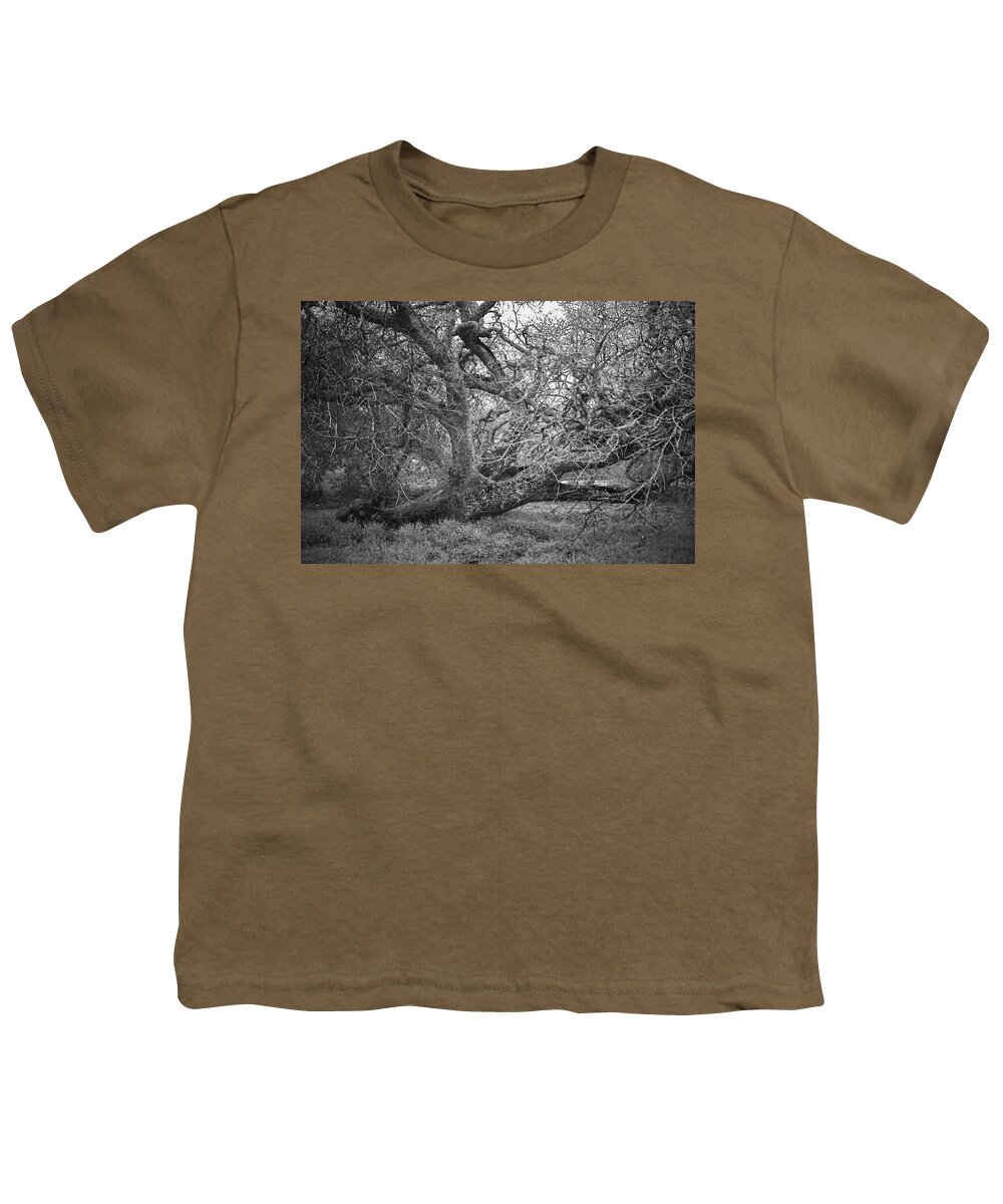 Oak Tree Youth T-Shirt featuring the photograph Black and White Oak Tree II by Sally Bauer