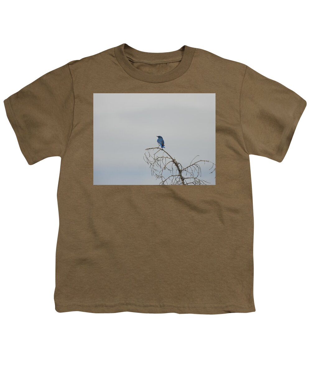 Blue Bird Youth T-Shirt featuring the photograph Blue Bird in the Wind 4 by Amanda R Wright