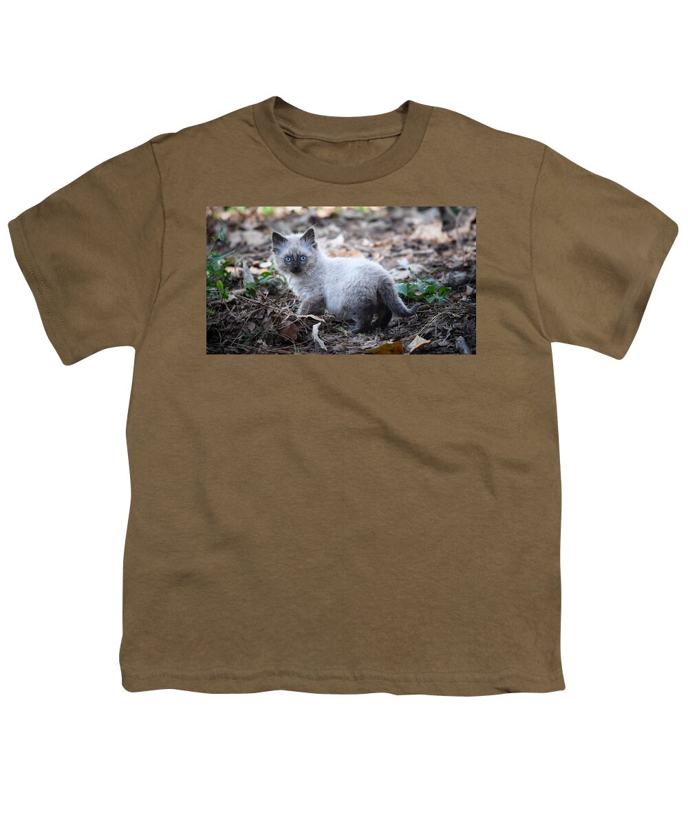 Kitten Youth T-Shirt featuring the photograph Blue Eyes by DArcy Evans