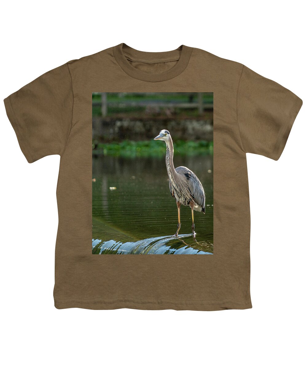 Blue Heron Youth T-Shirt featuring the photograph Blue Heron in Clinton Township by GeeLeesa