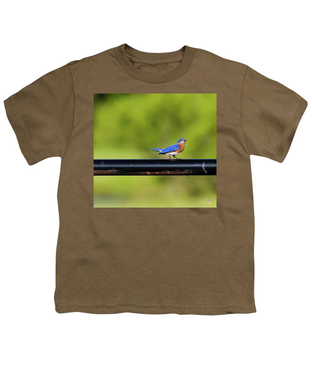 Easternbluebird Youth T-Shirt featuring the photograph Bluebird of Happiness by Pam Rendall