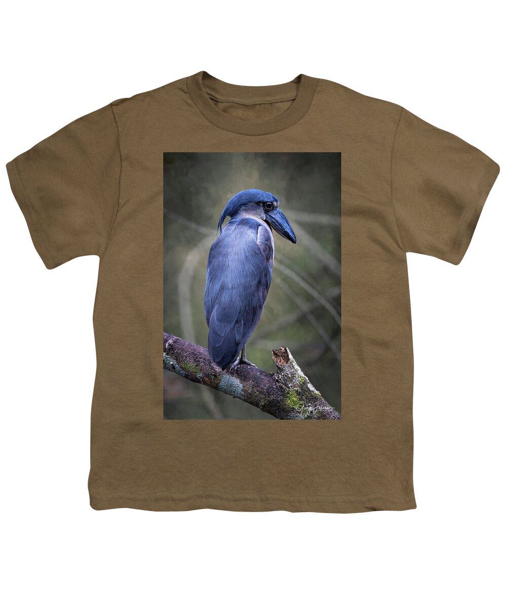 Gary Johnson Youth T-Shirt featuring the photograph Boat-Billed Heron by Gary Johnson