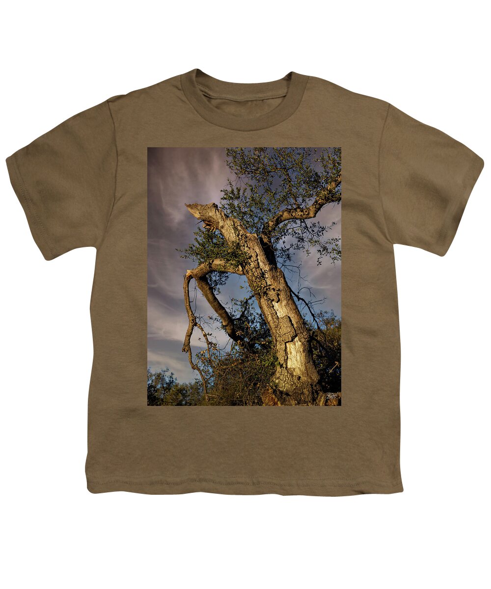 Oak Tree Youth T-Shirt featuring the photograph Broken Oak Tree by Endre Balogh