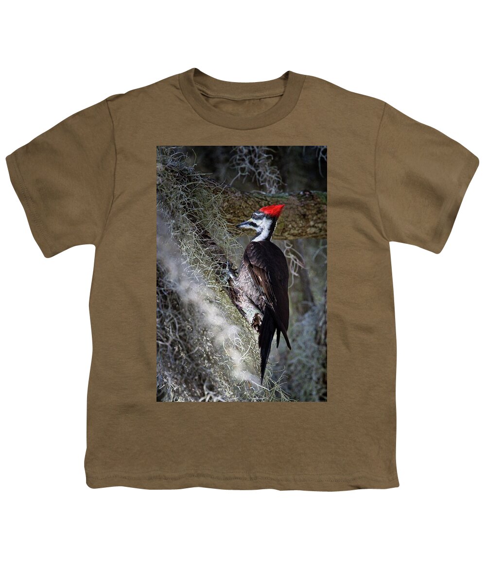 Pileated Woodpecker Youth T-Shirt featuring the photograph Bug Hunting by Ronald Lutz