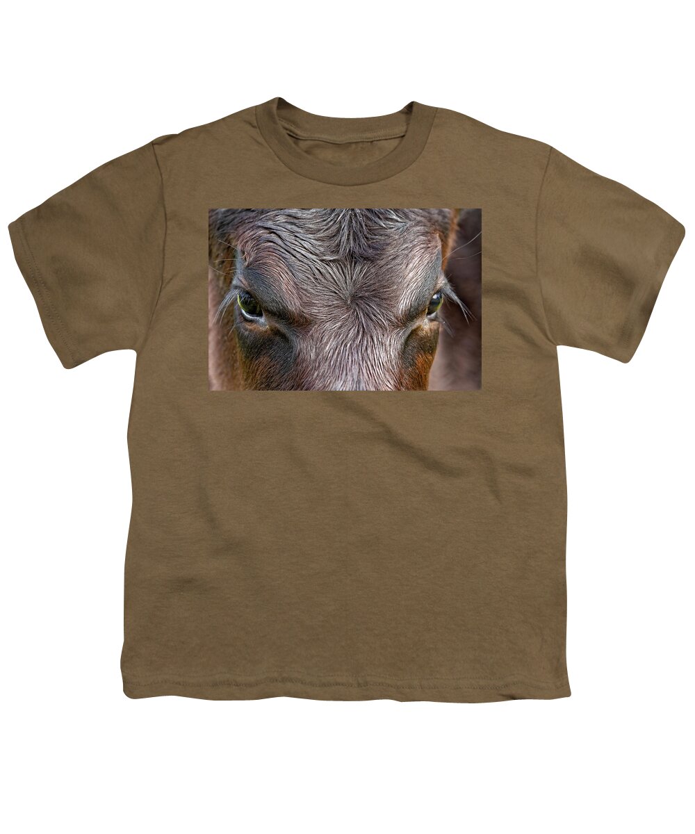 Kj Swan Animals Of Land And Sea Youth T-Shirt featuring the photograph Bull's Eye by KJ Swan
