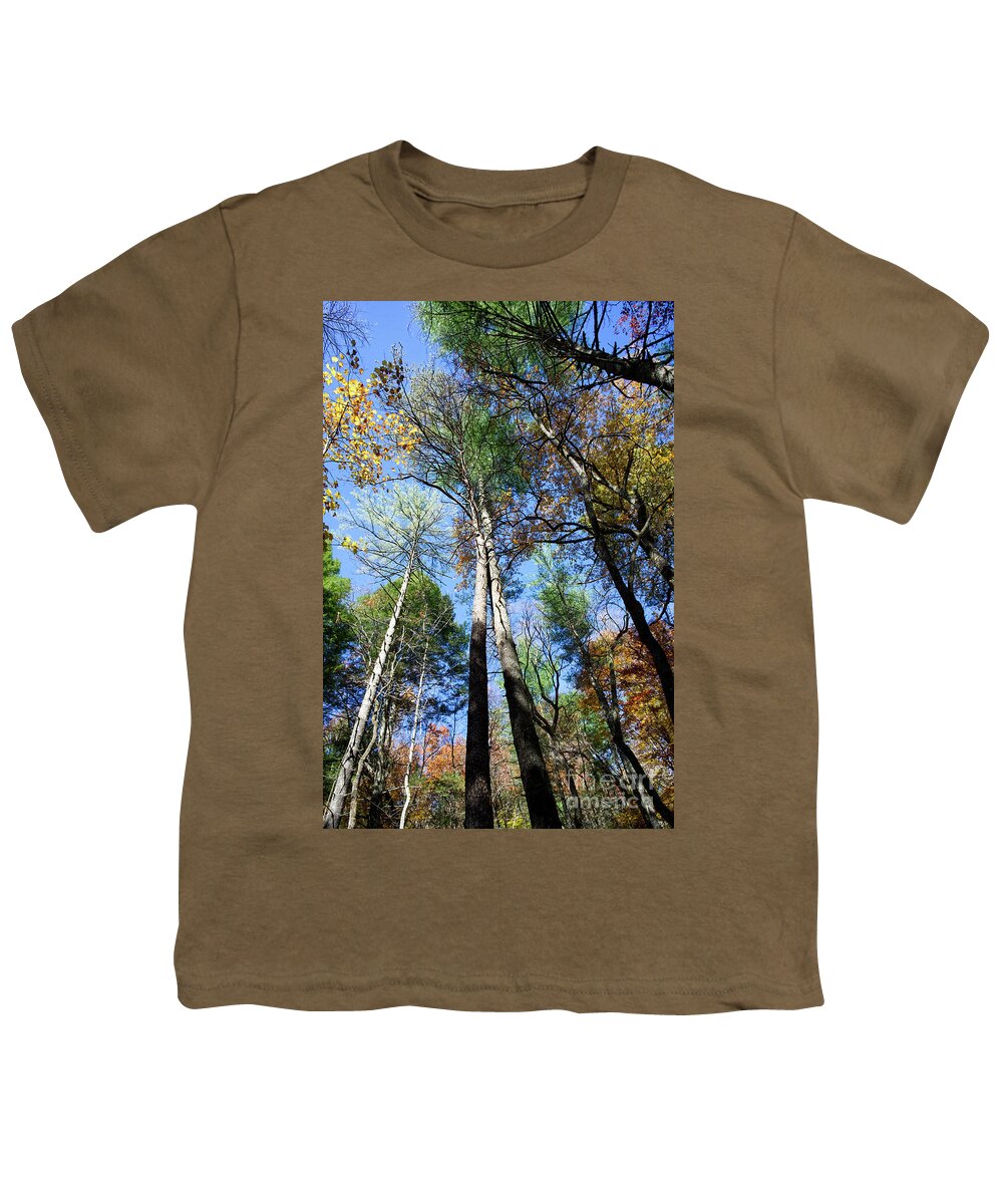 Autumn Youth T-Shirt featuring the photograph Cades Cove Landscape 4 by Phil Perkins