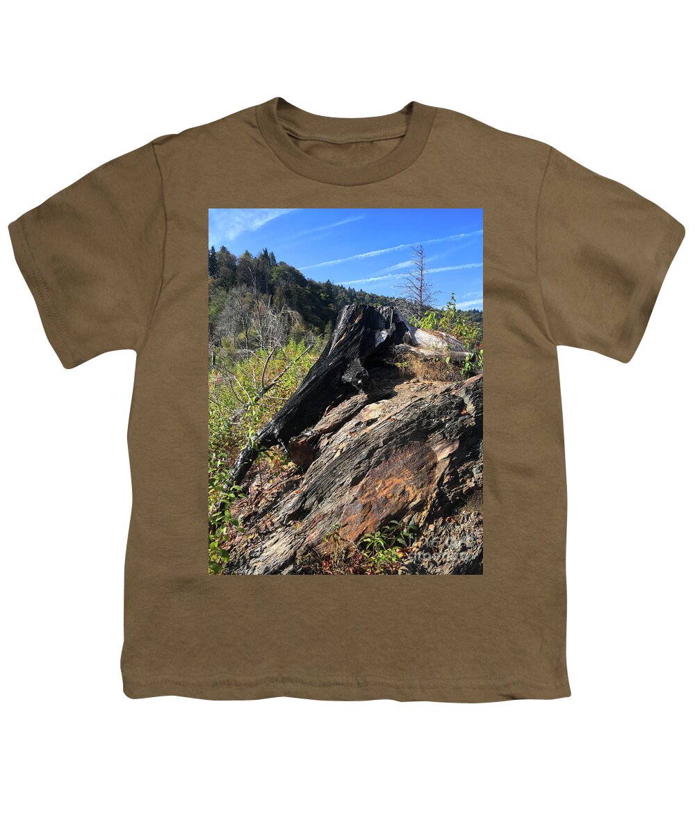 Chimney Tops Youth T-Shirt featuring the photograph Chimney Tops 20 by Phil Perkins