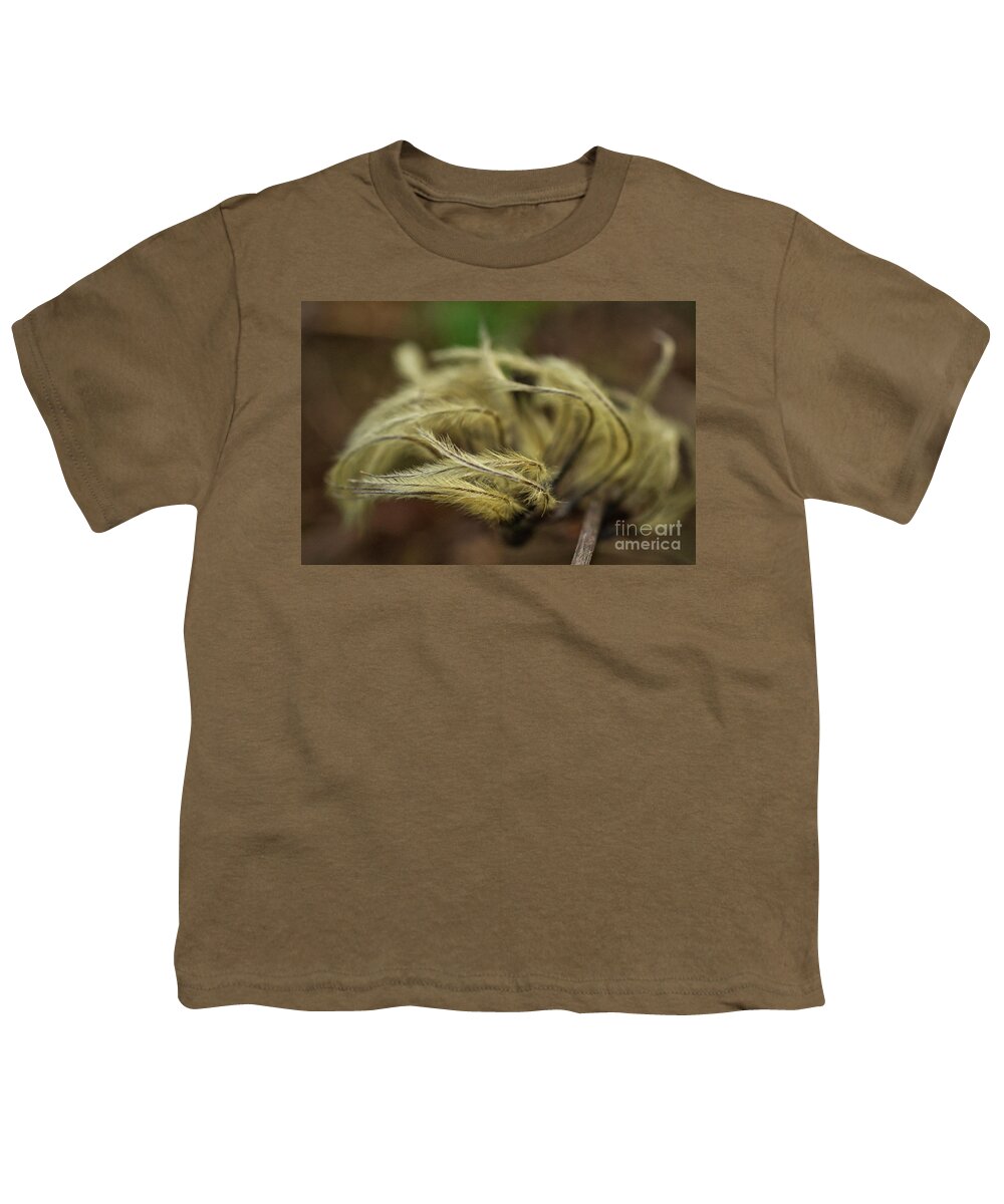 Clematis Seed Heads Youth T-Shirt featuring the photograph Clematis seed heads by Iris Richardson