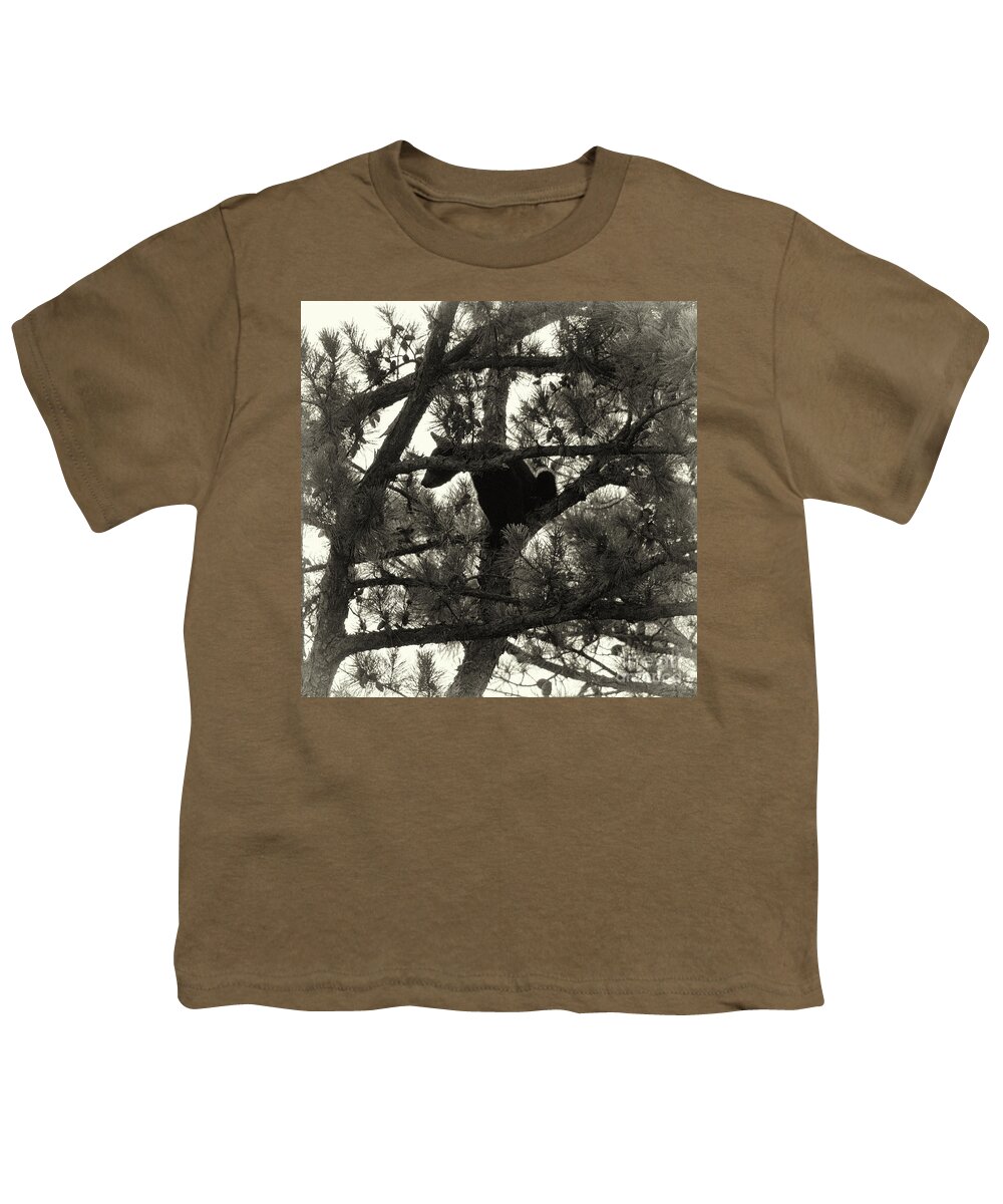 Bear Youth T-Shirt featuring the photograph Climbing Bear 4 by Phil Perkins