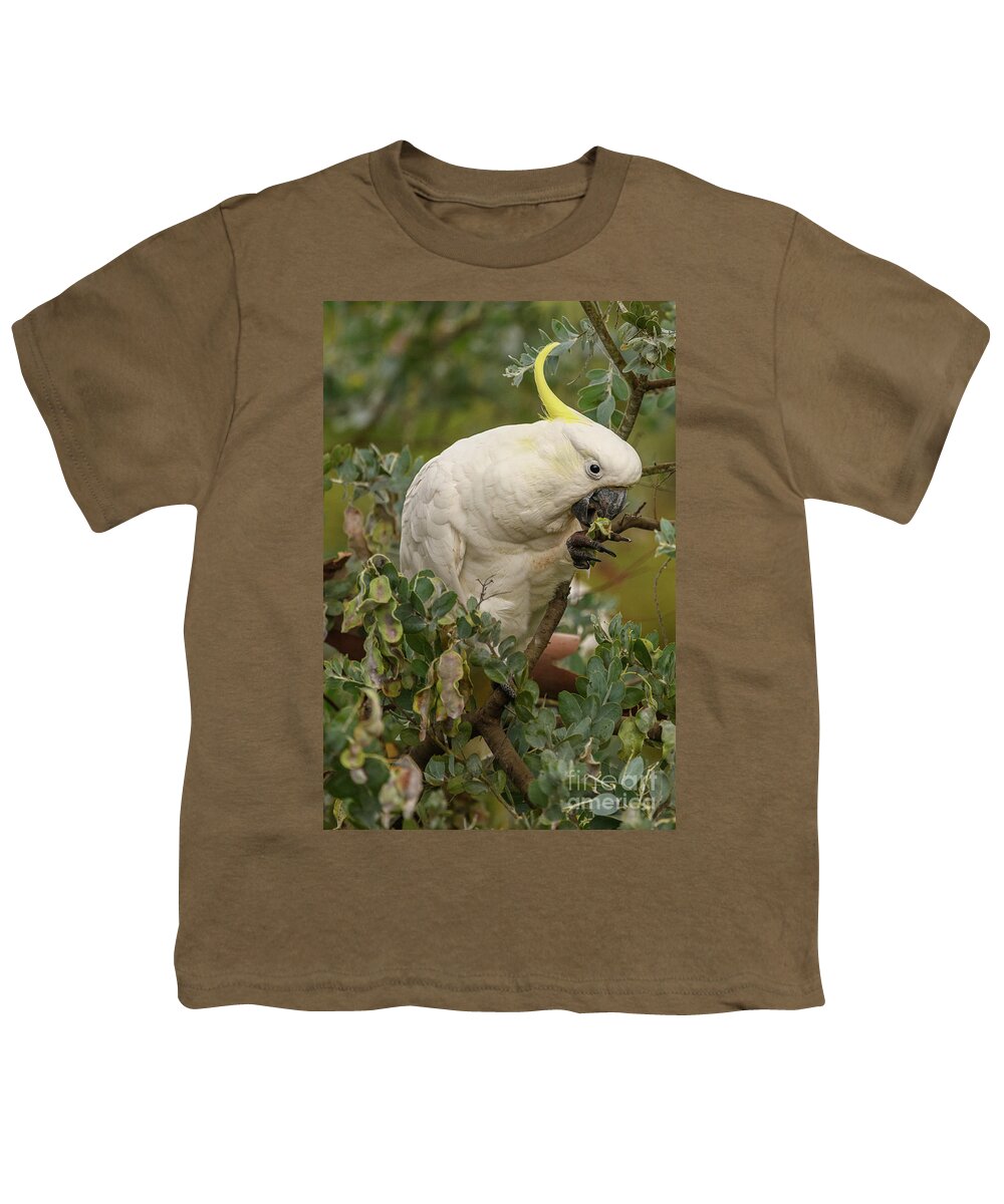 Wildlife Youth T-Shirt featuring the photograph Cockatoo 10 by Werner Padarin