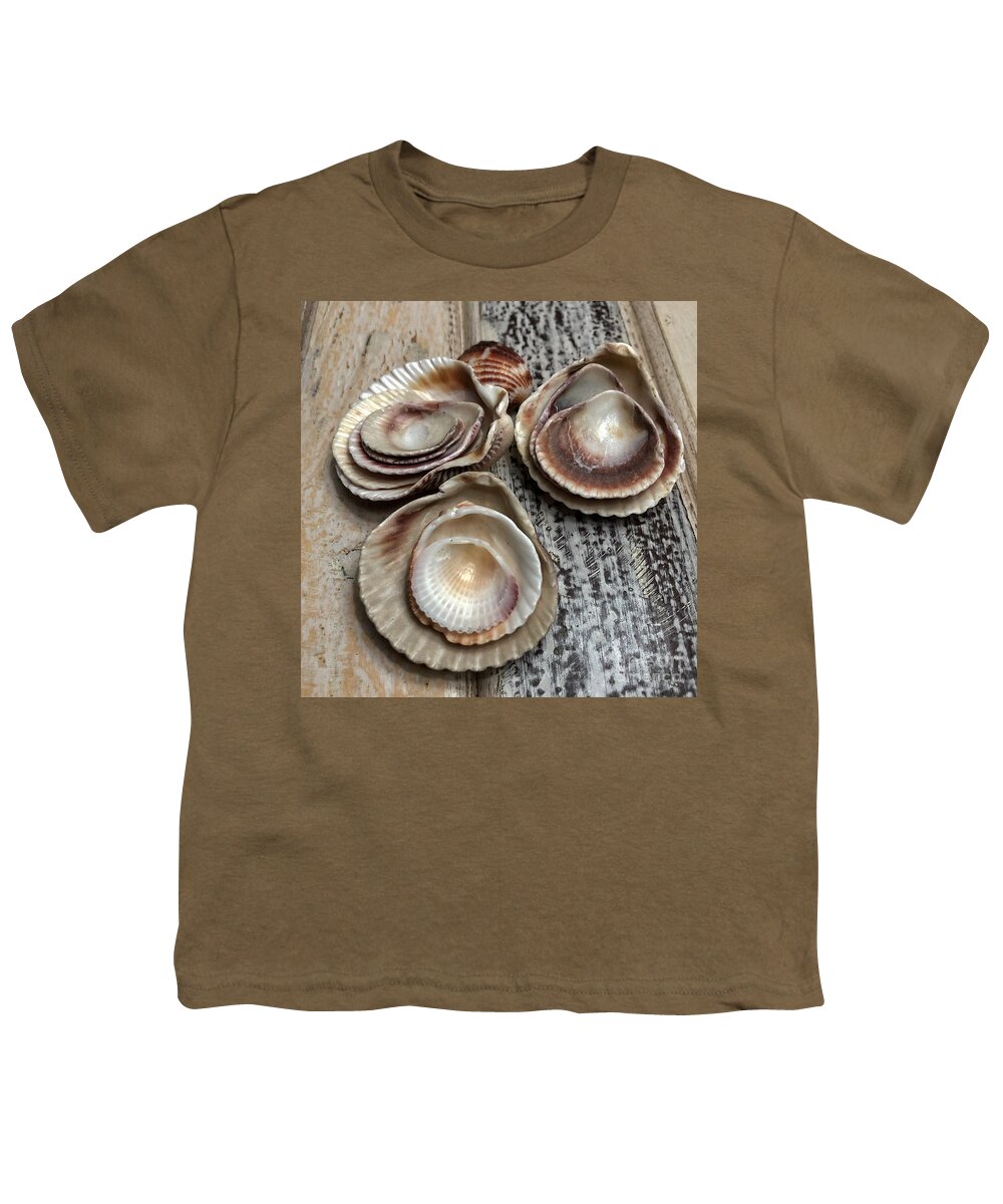 Seashells Youth T-Shirt featuring the photograph Collection by Diana Rajala