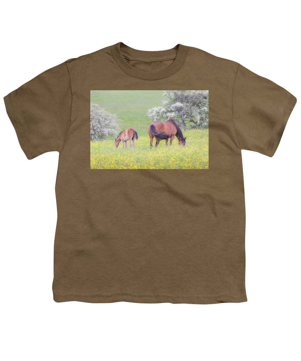Horses Youth T-Shirt featuring the photograph Contentment - Mare and Foal in a meadow by Anita Nicholson