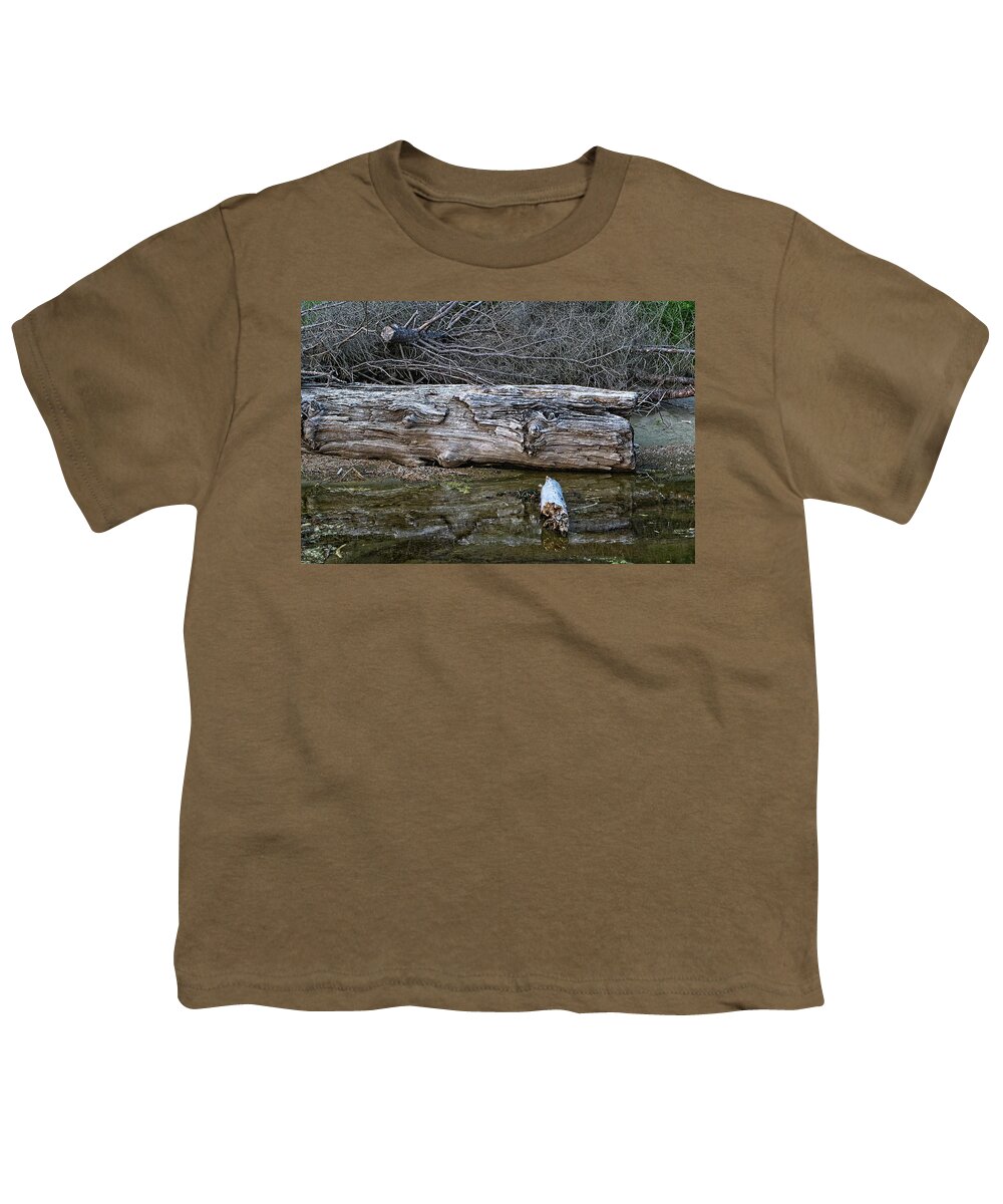 America Youth T-Shirt featuring the digital art Creekside Log by David Desautel