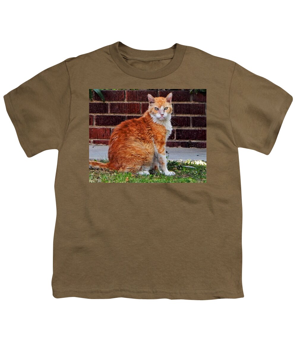 Cat Youth T-Shirt featuring the photograph Curious Cat by Andrew Lawrence