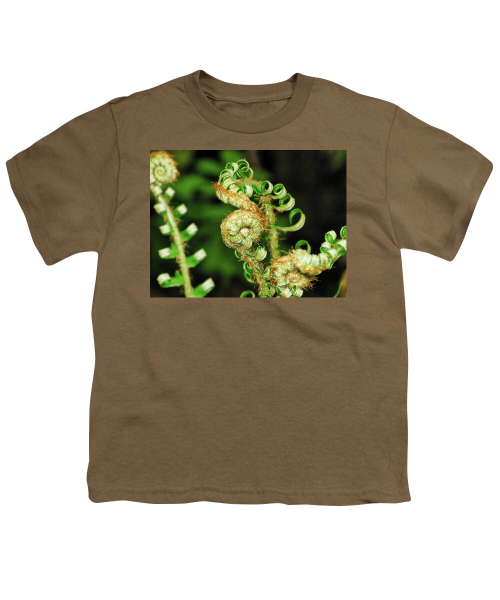 Flora Youth T-Shirt featuring the photograph Curly fern by Segura Shaw Photography