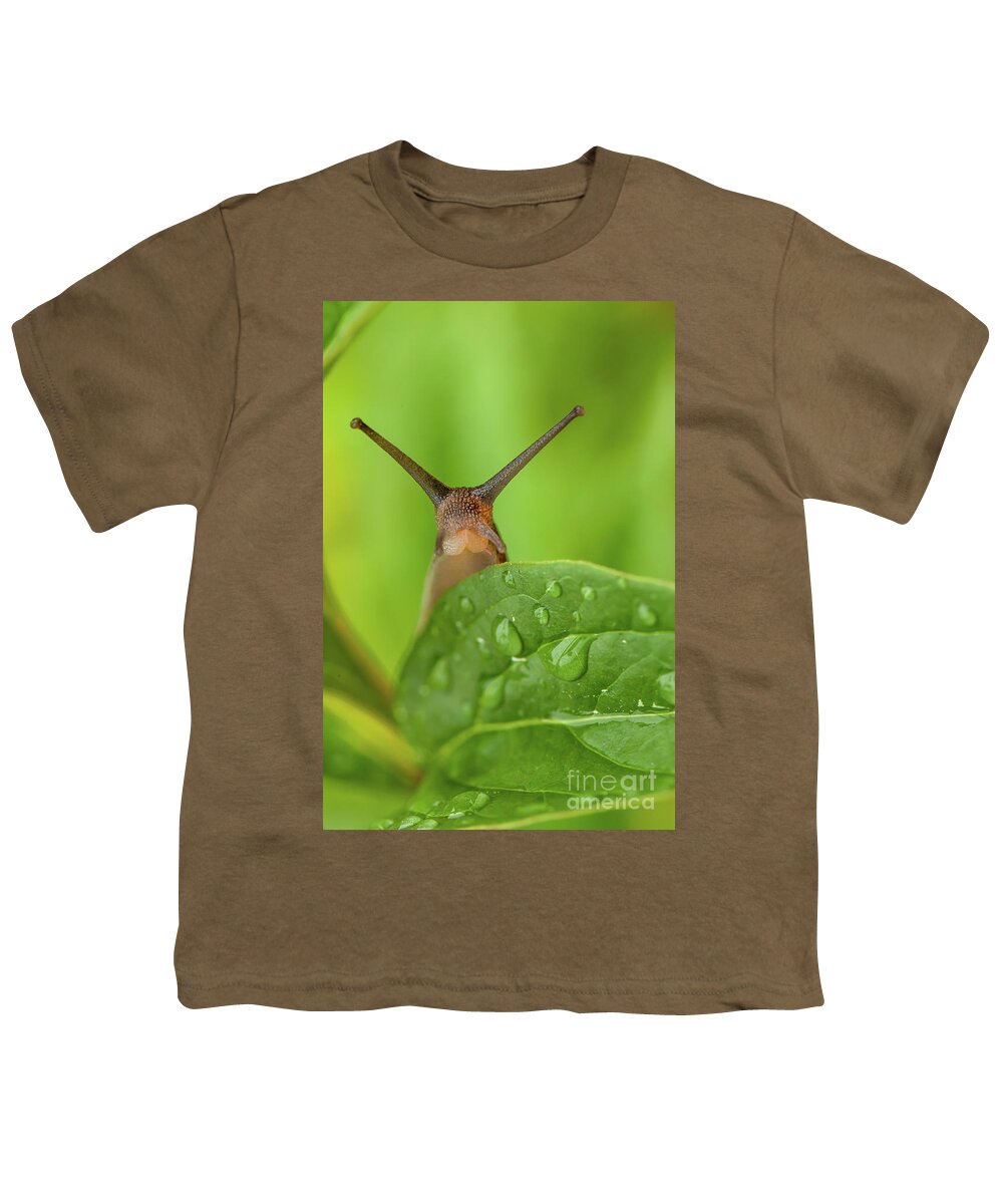 Garden Youth T-Shirt featuring the photograph Cute garden snail long tentacles on leaf by Simon Bratt