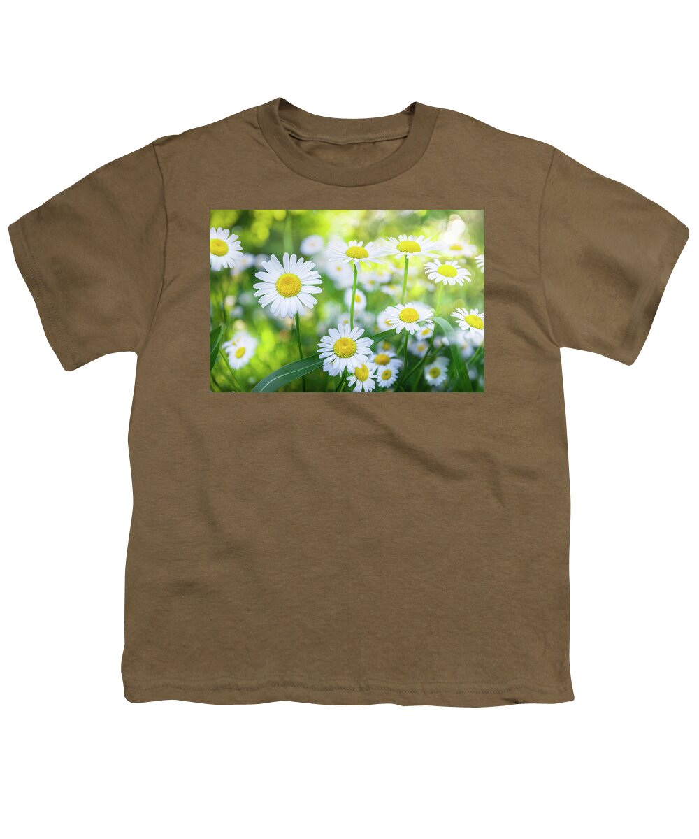 Daisy Youth T-Shirt featuring the photograph Daisies Spring Blooming Flowers. by Jordan Hill