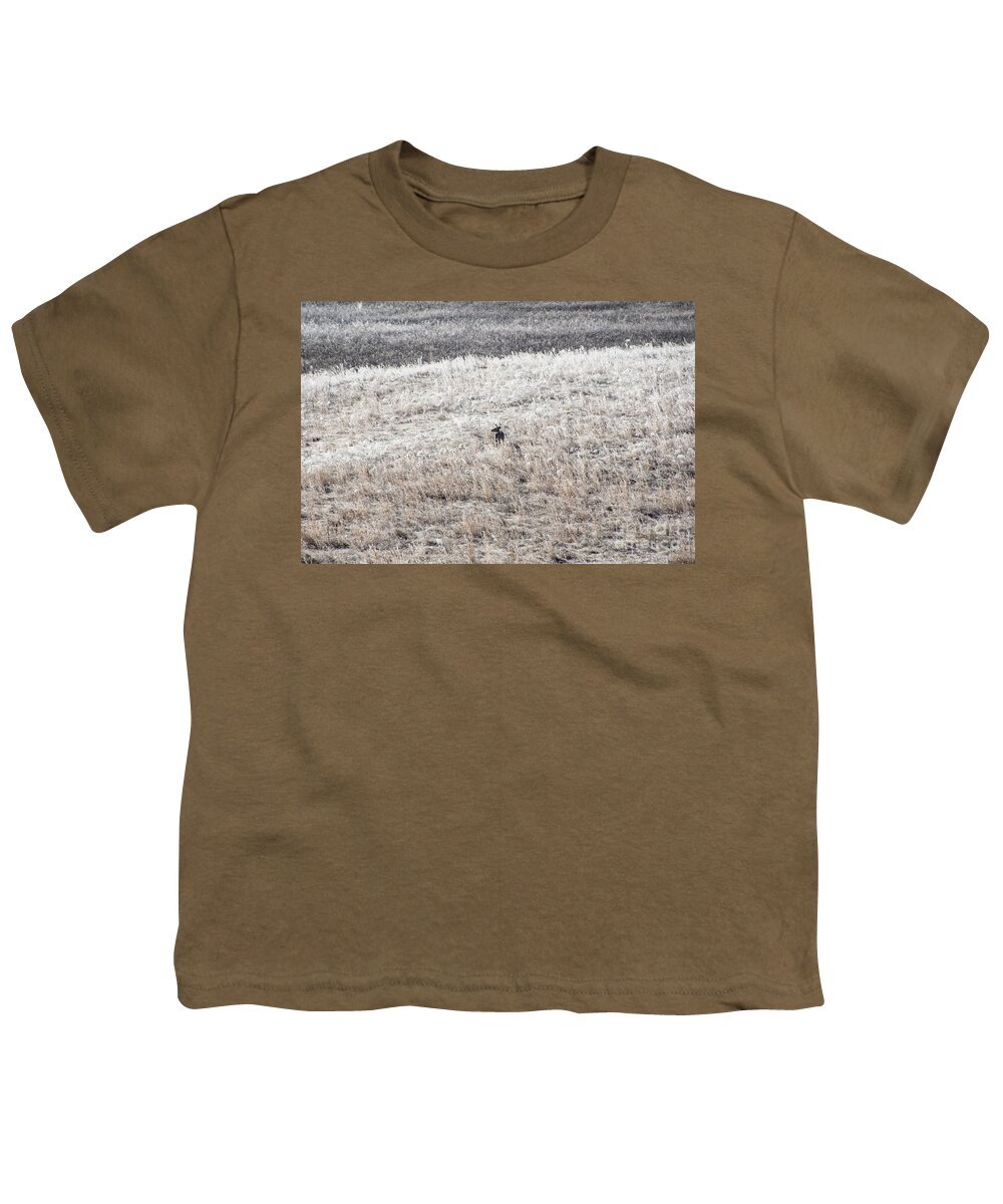 Deer Youth T-Shirt featuring the photograph Deer At Cades Cove by Phil Perkins