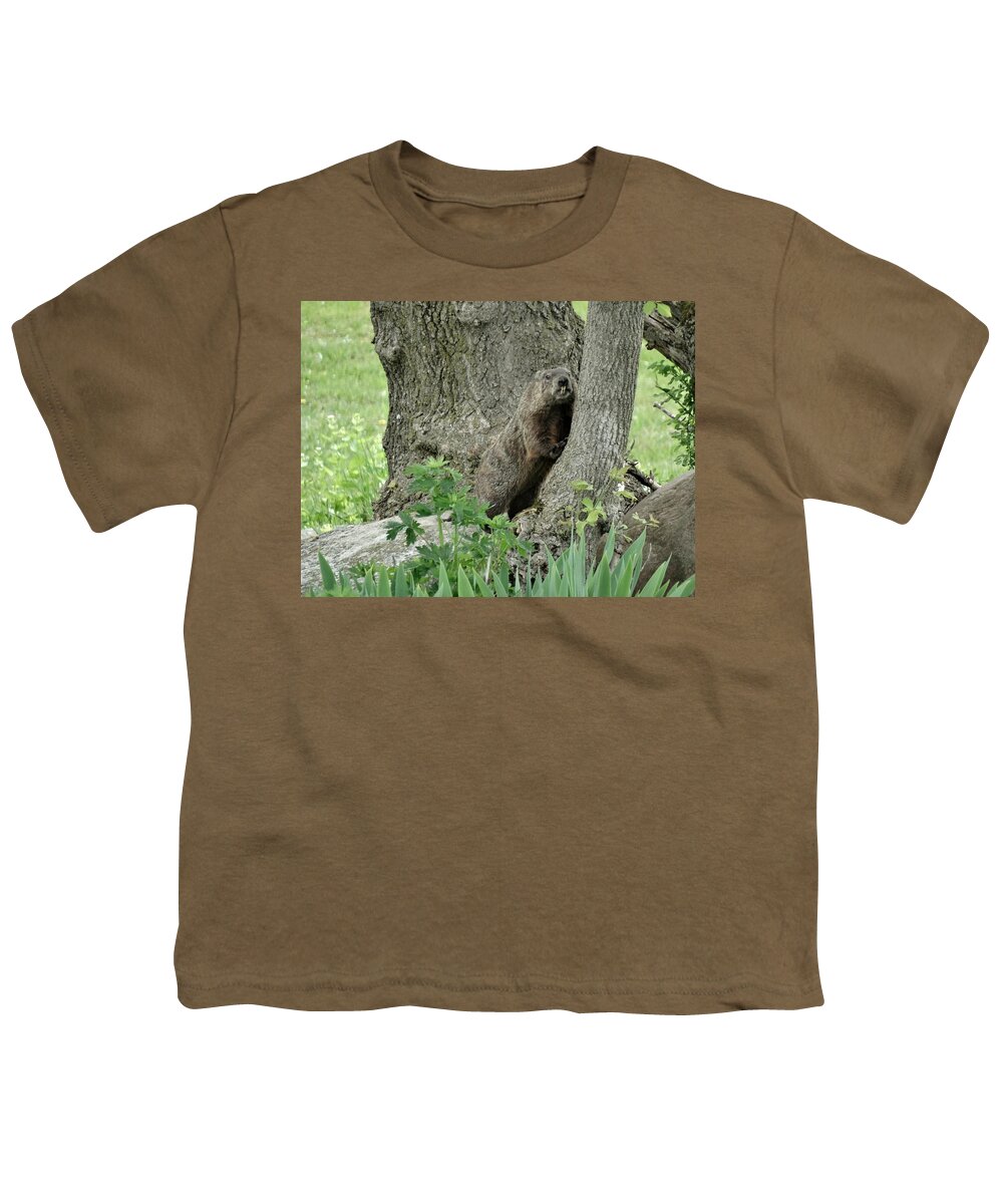 Groundhog Youth T-Shirt featuring the photograph Did You Think I Was Part Of This Tree? by Susan Sam