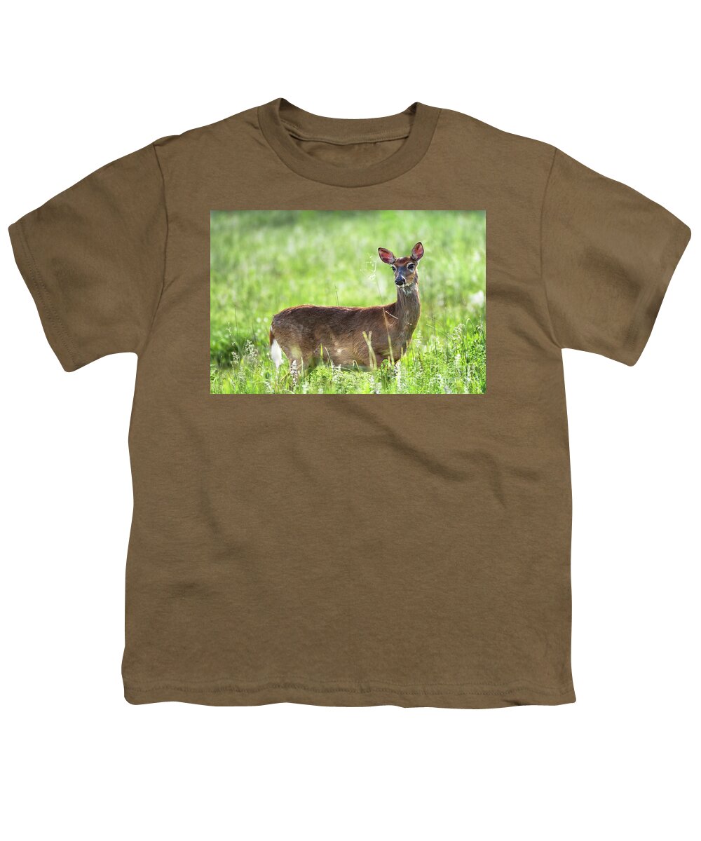 Doe Youth T-Shirt featuring the photograph Doe eyed - Whitetail deer on a meadow by Rehna George