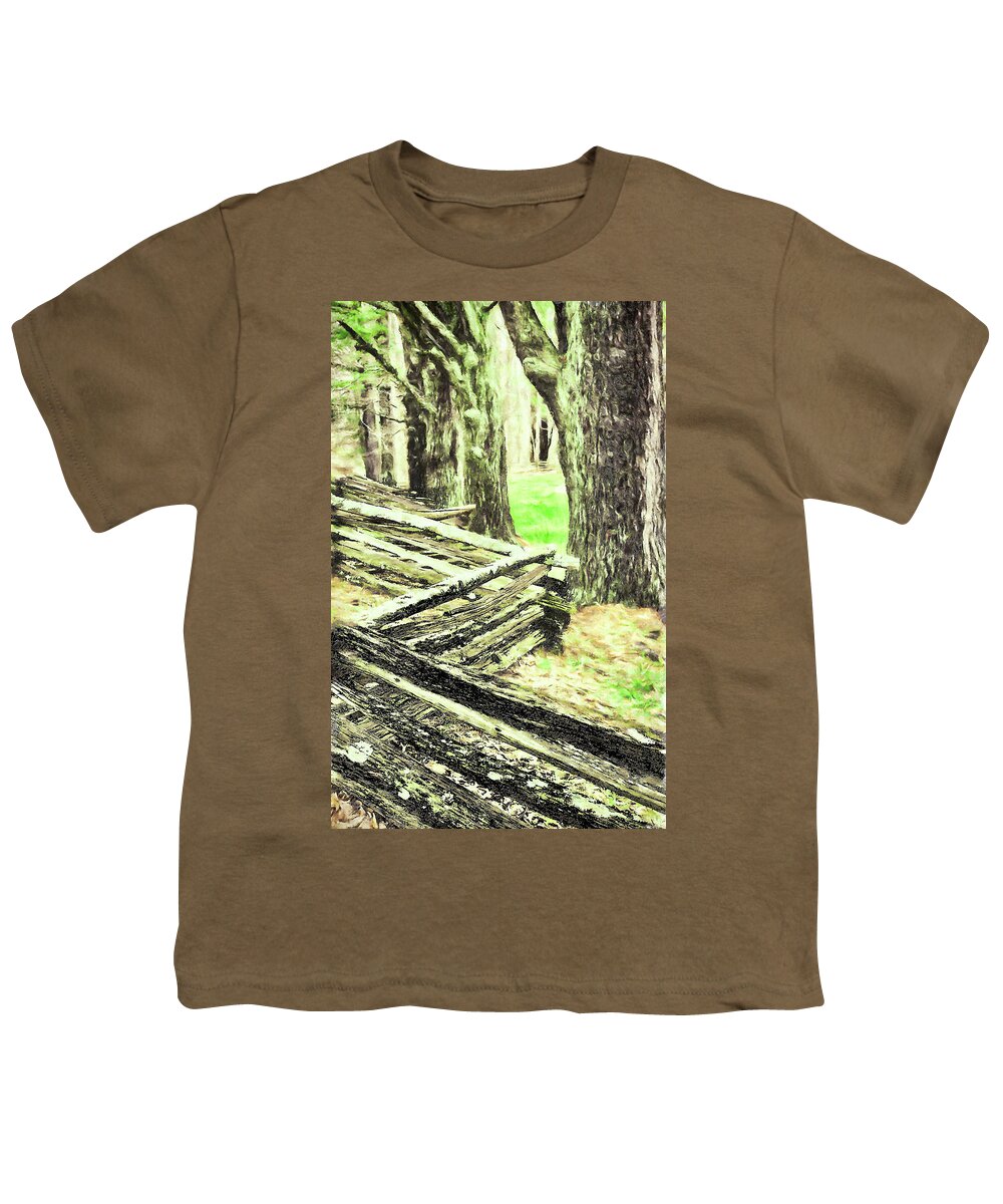 North Carolina Youth T-Shirt featuring the photograph Dont Fence Me In fx by Dan Carmichael