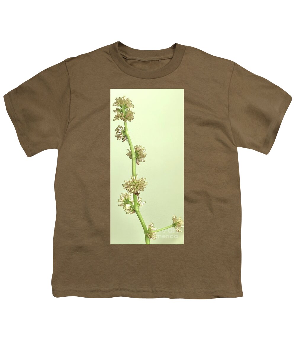 Corn Plant Flower Youth T-Shirt featuring the photograph Dracaena Fragrans Bloom by M West