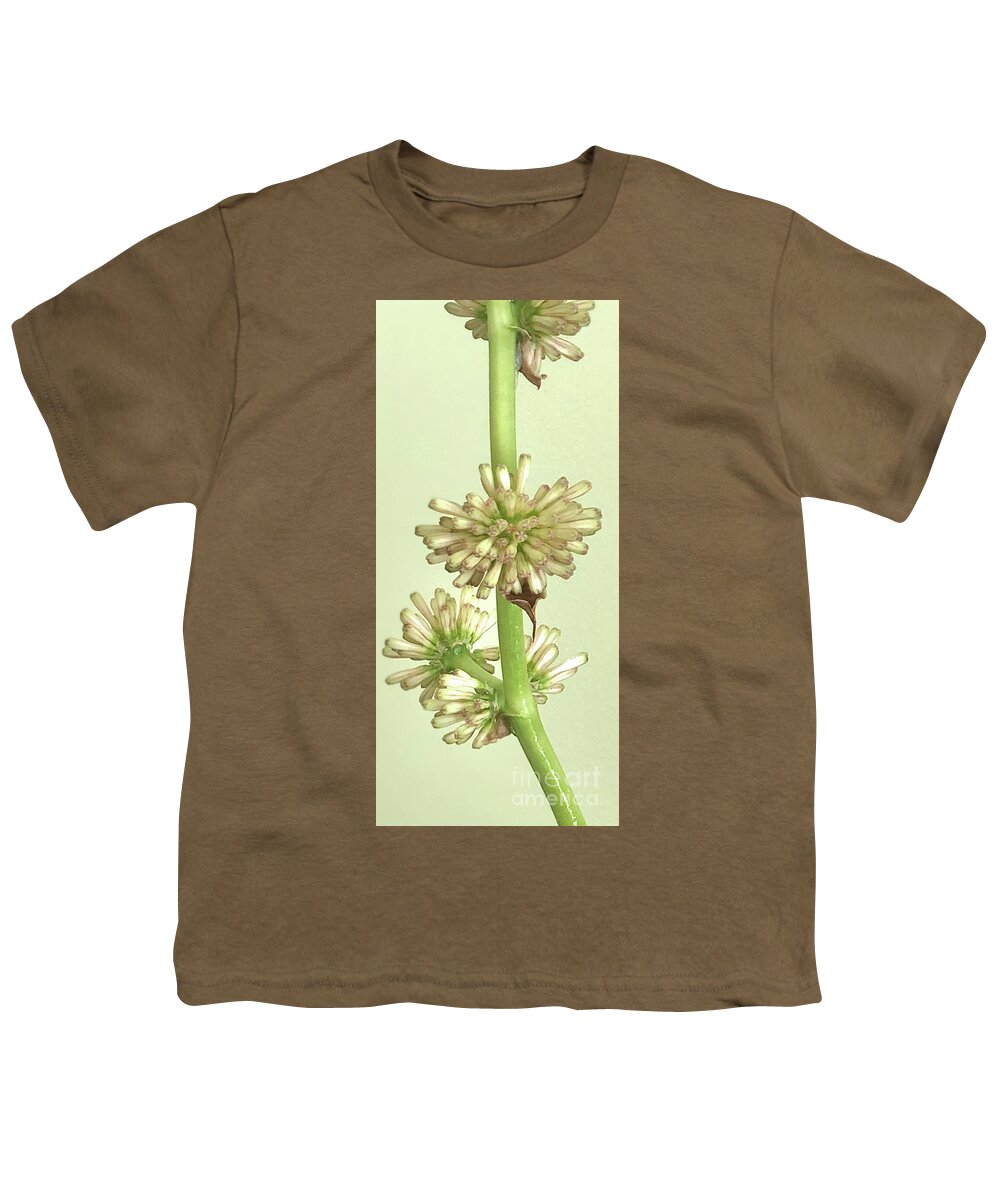 Corn Plant Flower Youth T-Shirt featuring the photograph Dracaena Fragrans Flower by M West