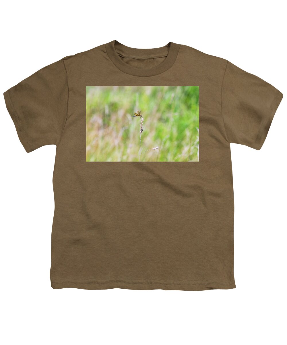 Nature Youth T-Shirt featuring the photograph Dragonfly in the Field by Amelia Pearn