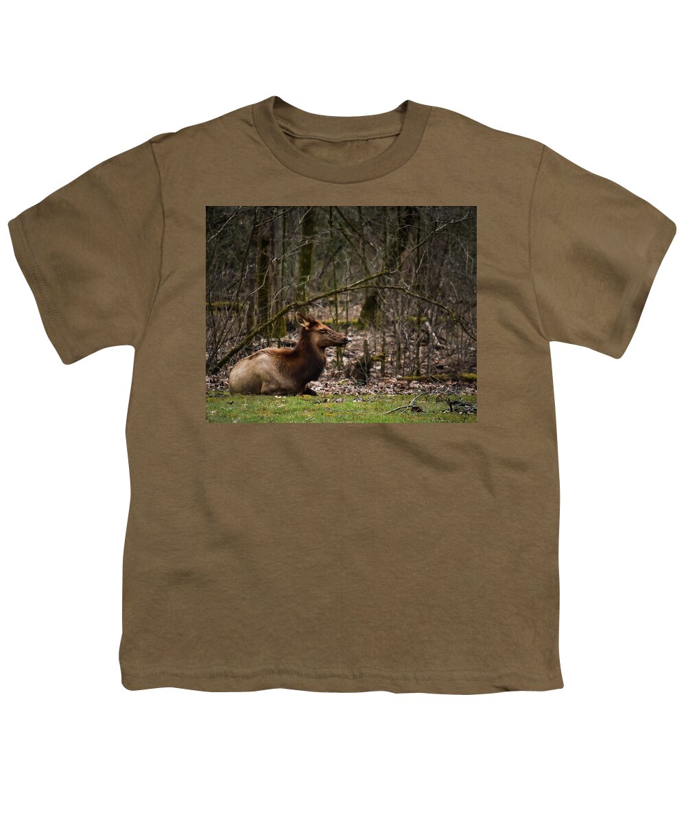 Wildlife Youth T-Shirt featuring the photograph Elk Relaxing by Rick Nelson