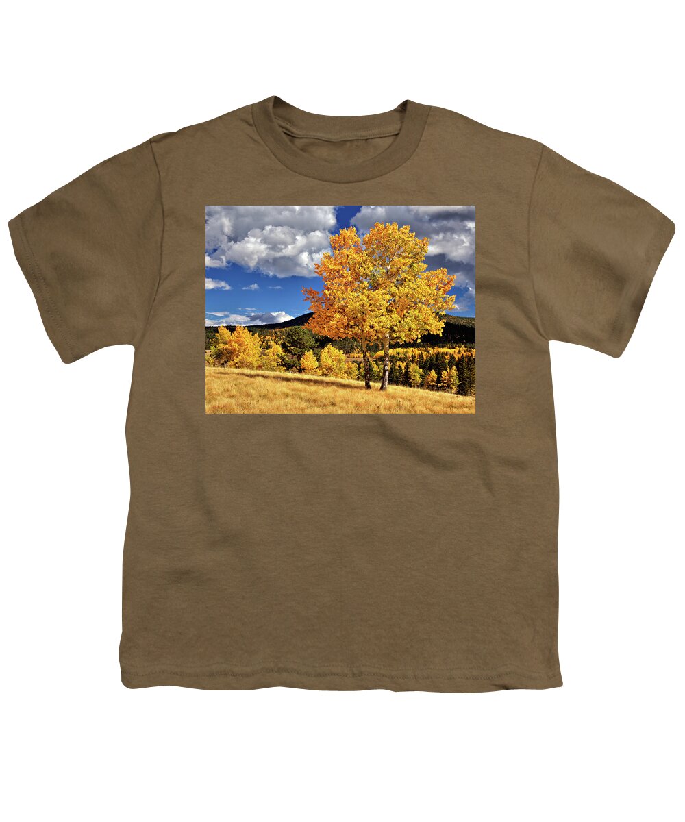 Aspens Youth T-Shirt featuring the photograph Fall Colors by Bob Falcone