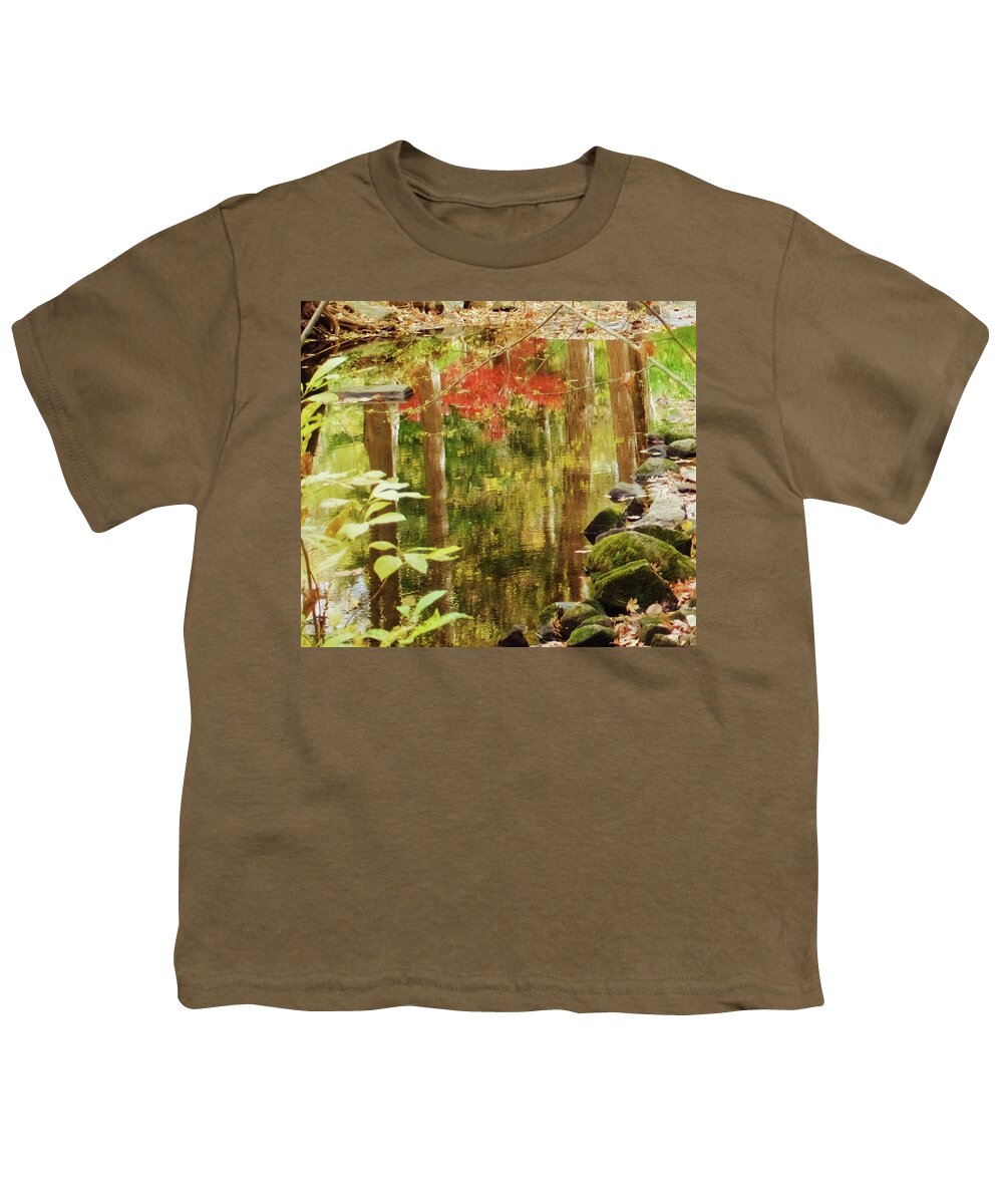 Autumn Youth T-Shirt featuring the photograph Fall Parallels by Denise Benson